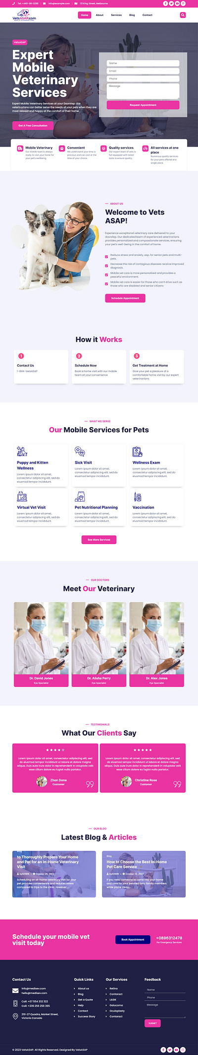 Veterinary Services Website Design for $300 elementor graphic design vet veterinary webdesign wordpress