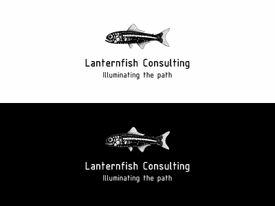 Consulting company logo brand identity branding business logo consulting company logo corporate identity fish logo symbol typography