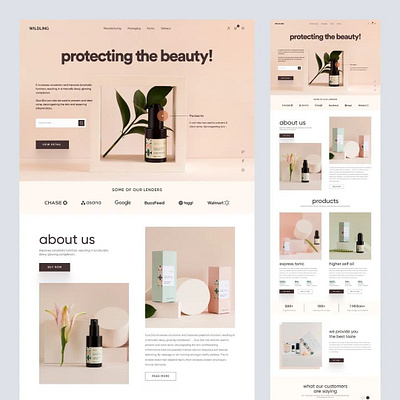 Website Designed branding graphic design illustration ui vector webdesign