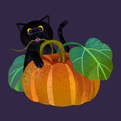 Pumpkin spice black cat cat halloween illustration pumpkin spooky vector