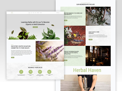 Leo Talks Herb Website clientwork design development healthandwellness herbalcourses herbalmedicine naturalremedies responsivedesign ui ux web webdesign website