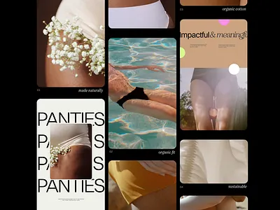 Cha's art direction art director brand branding design graphic graphic design panties ui visual visual graphics