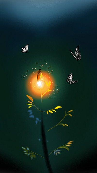 Firefly illustration