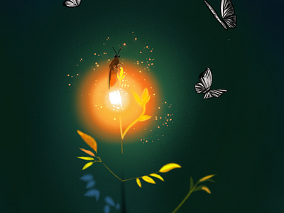 Firefly illustration