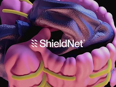 BB.ShieldNet artdirection branddesign brandidentity branding graphic design logo ui visualidentity webdesign