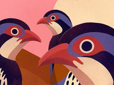 Partridges birds bold colourful digital editorial illustrated illustration illustrator nature procreate retro texture