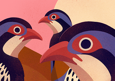 Partridges birds bold colourful digital editorial illustrated illustration illustrator nature procreate retro texture
