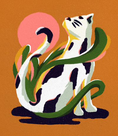 A Cat animals bold cat digital editorial graphical illustrated illustration illustrator procreate retro texture