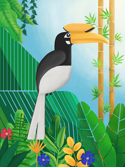 Oriental pied hornbill art assam digital art fresco illustration india