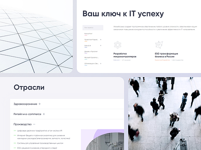Website IT-company design product design ui