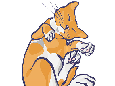 Orange Cat Nap graphic design