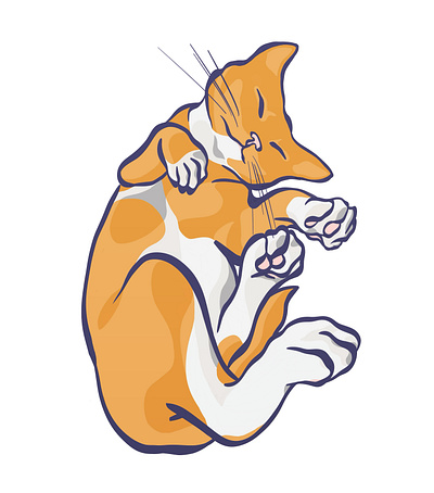 Orange Cat Nap graphic design