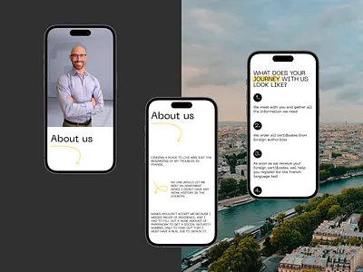 The French Way / about about design icons interaction interactive design lottie mobile scroll services steps ui webdesign website