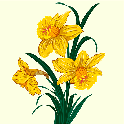 Narcissus flower branding design digital illustration illustration stickers ui vector