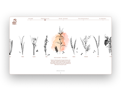 Wegawa Web Concept agriculture brand identity branding graphic design hand drawn minimal ui user experience user interface ux vintage watercolor web design white