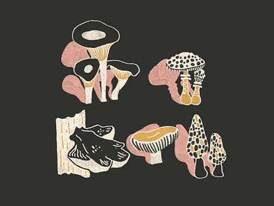 Mushrooms illustration mushroom mushrooms nature outdoors retro simple