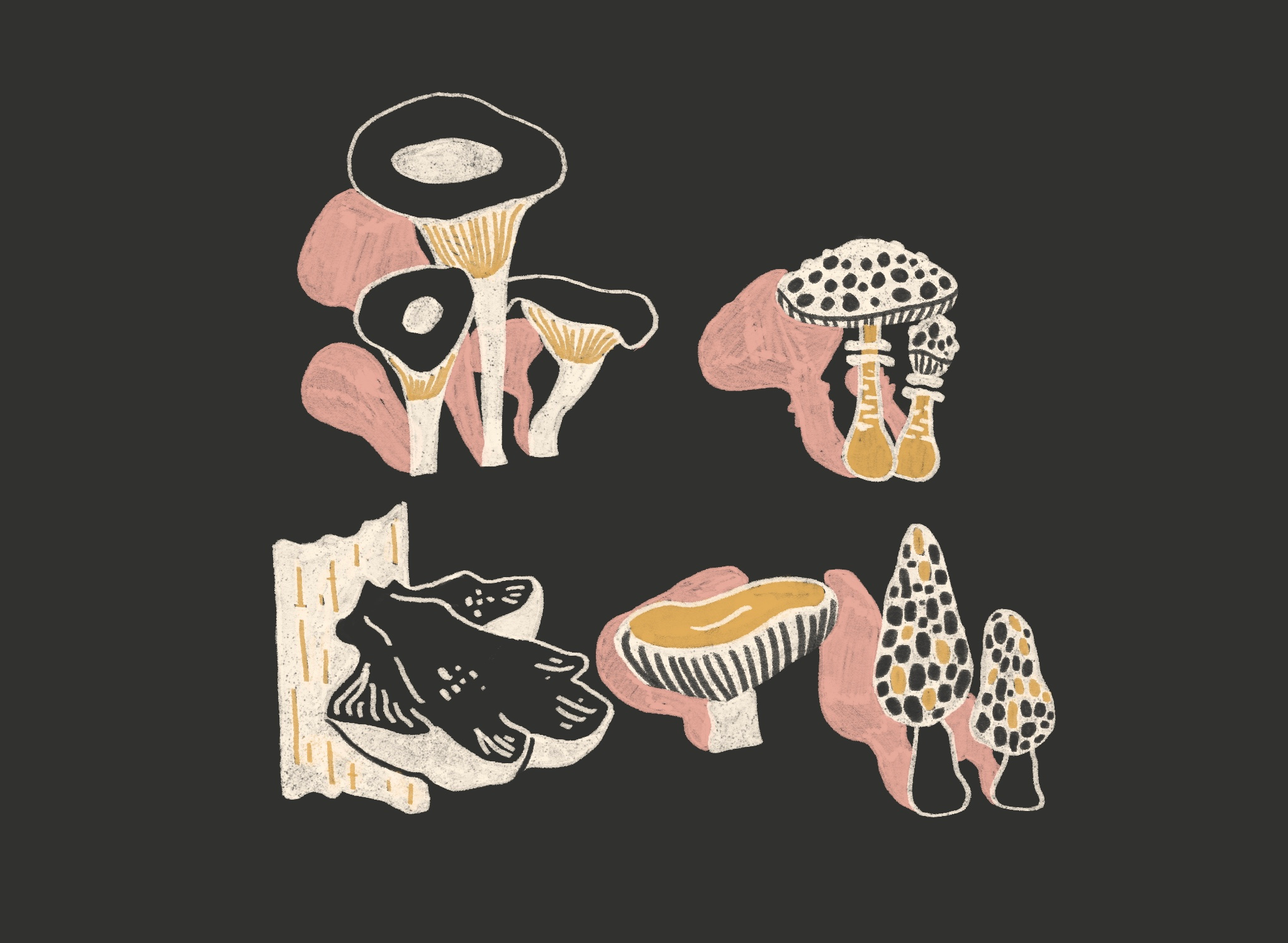 Example of Illustrations