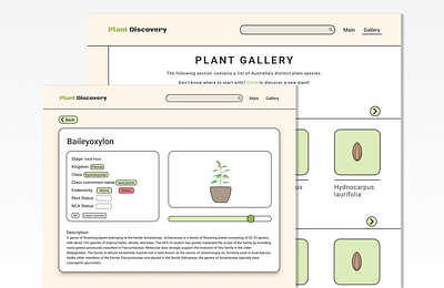 Plant Discovery botanical design plant ui webdesign website