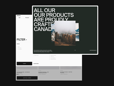 Efemme branding ecommerce filter layout products typography website