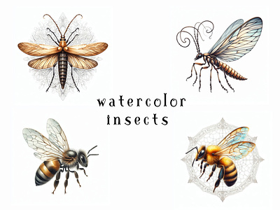 watercolor insects flying insects small watercolor