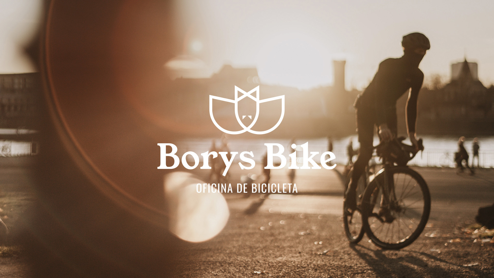 Borys Bike - Branding bat bike brand branding design graphic design illustration interface logo office sport ui ux vector