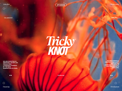 Tricky Knot - Branding🎬 art direction branding design film financing for forwwwardstudio graphic design hollywood logo