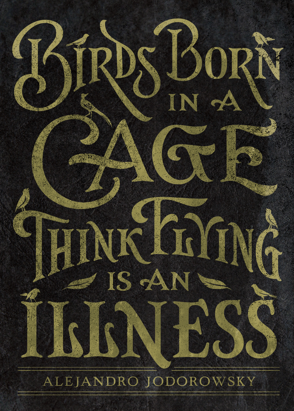 Birds Born…Lettering illustration lett lettering type typography