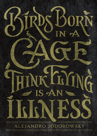 Birds Born…Lettering illustration lett lettering type typography