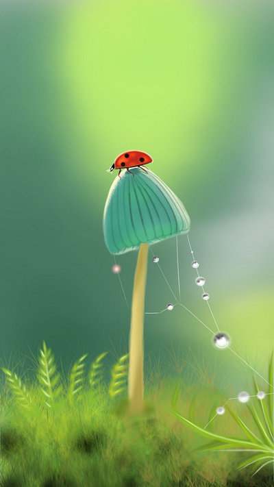 Ladybug design illustration