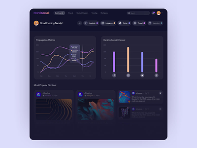 BrandSocial - Dashboard Web App Design animation dashboard design ecreatives motion graphics socialmedia ui ux design web app