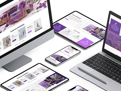 Website design design web web design website