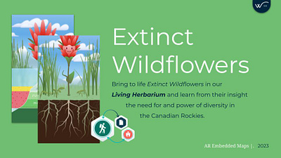 Collecting Extinct Wildflowers ar embedded maps brand branding creative direction design identity illustration map making mapmaking thewayfindercompany trailkids