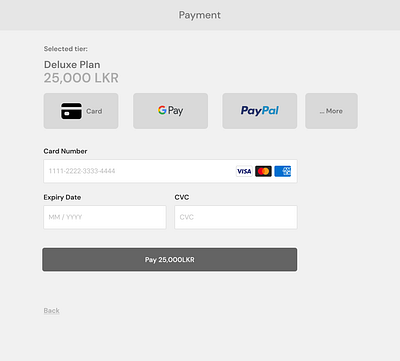 Daily UI - Payment portal graphic design ui