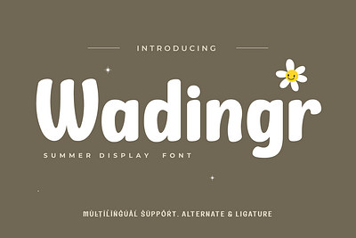 Wadingr - Handwriting Font fun