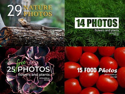 Photo nature, flowers and plants background design photo plants texture