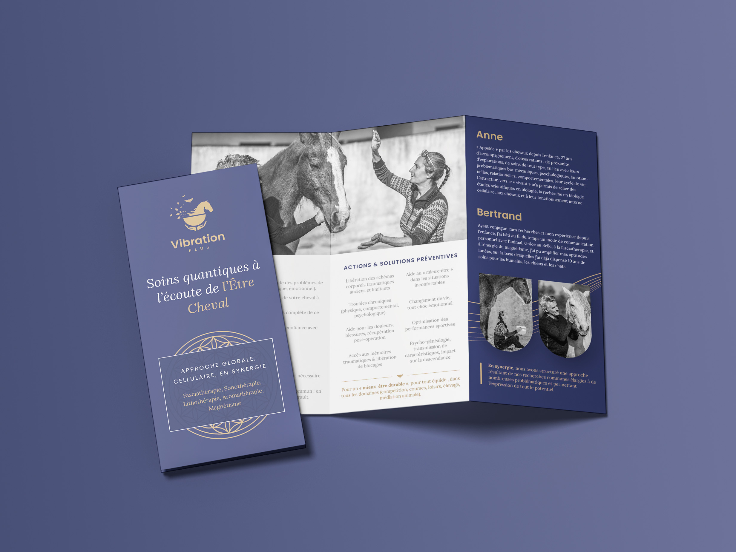 Horsecare Trifold animal blue branding brochure design elegant flyer graphic design health horse logo luxury minimal mockup print trifold ui ux vector