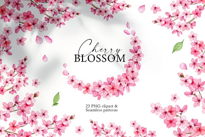 Cherry Blossom graphic design