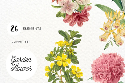 Garden Flower graphic design motion graphics