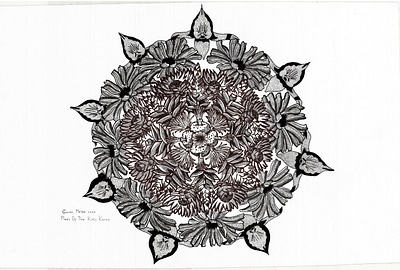 Promises artist artwork beauty flowerchild flowermandala flowers illustration illustrator ink kleinkaroo mandala mandalaart oudtshoorn pointillism southafrica