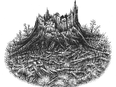 Stump art artist artwork drawing hand drawn illustration ink nature plants stump tree