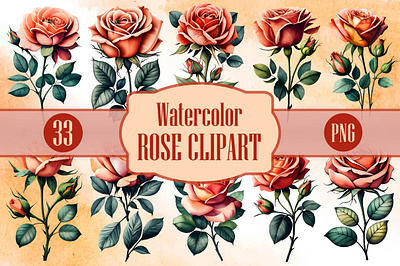 Watercolor Rose Clipart 3d animation app branding design graphic design illustration logo ui vector