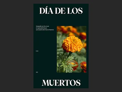 11.02.23 design grid layout minimal