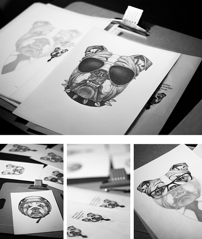 English Bulldog Illustrations Series custom project animal artis artwortk book branding children book dog drawing glasses hand drawn illustration illustrator logo pencil drawing