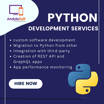 Custom Python Software & Web Development Services python application development python development services
