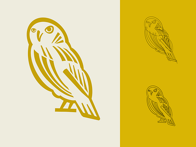 Owl Process for Paul abstract animation bird emblem gif line art logo owl processing sketch symbol