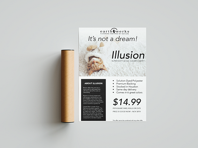 Illusion Poster