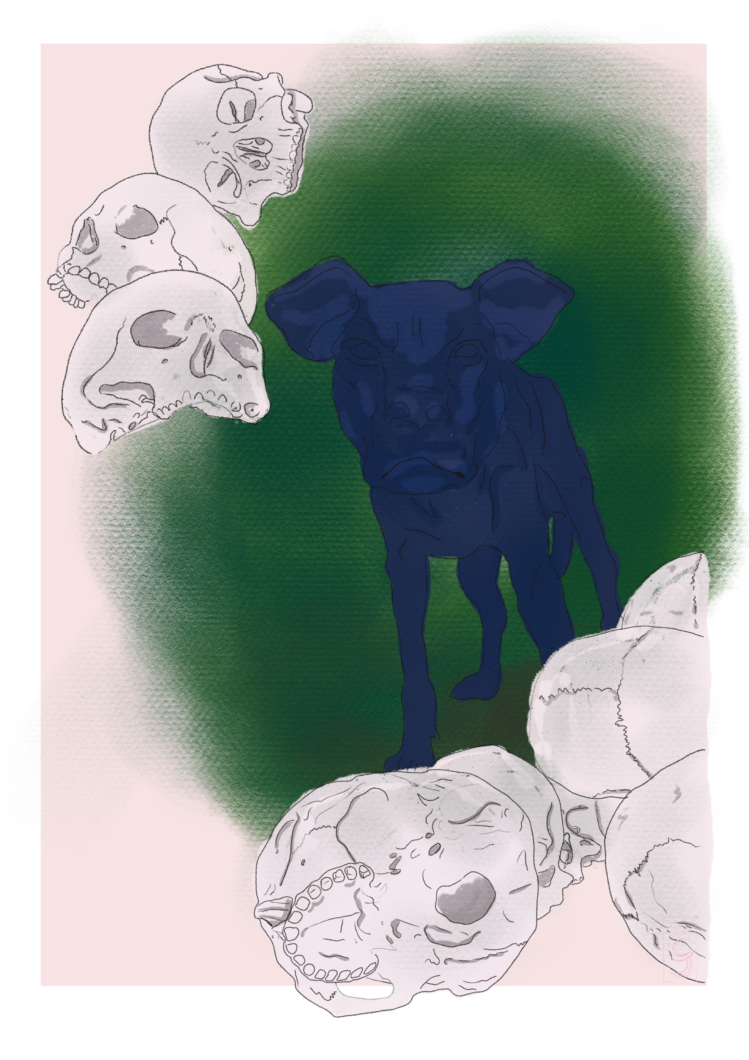 Ron Mack - illustration univers design dog graphic design illustration procreat ron mack