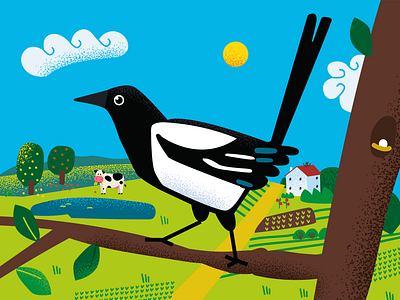 Magpie bird illustration branding color design graphic design illustration inspire ivano frankivsk ukraine