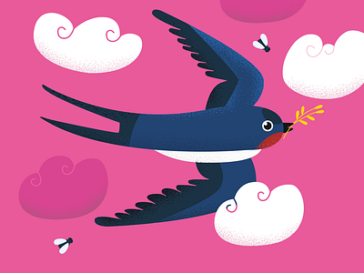 Illustration of a swallow bird branding color design graphic design illustration inspire ivano frankivsk ukraine