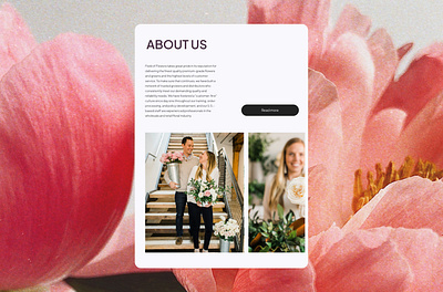 Field of Flowers | UX & UI Design design flowers store trand uxui web design website